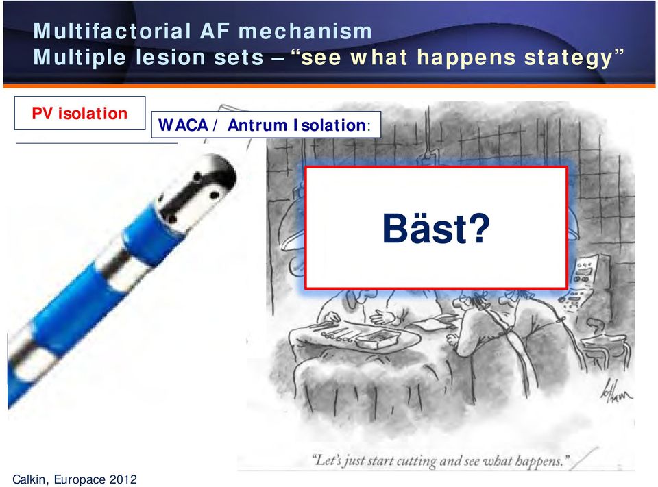 WACA / Antrum Isolation: Rotor modulation