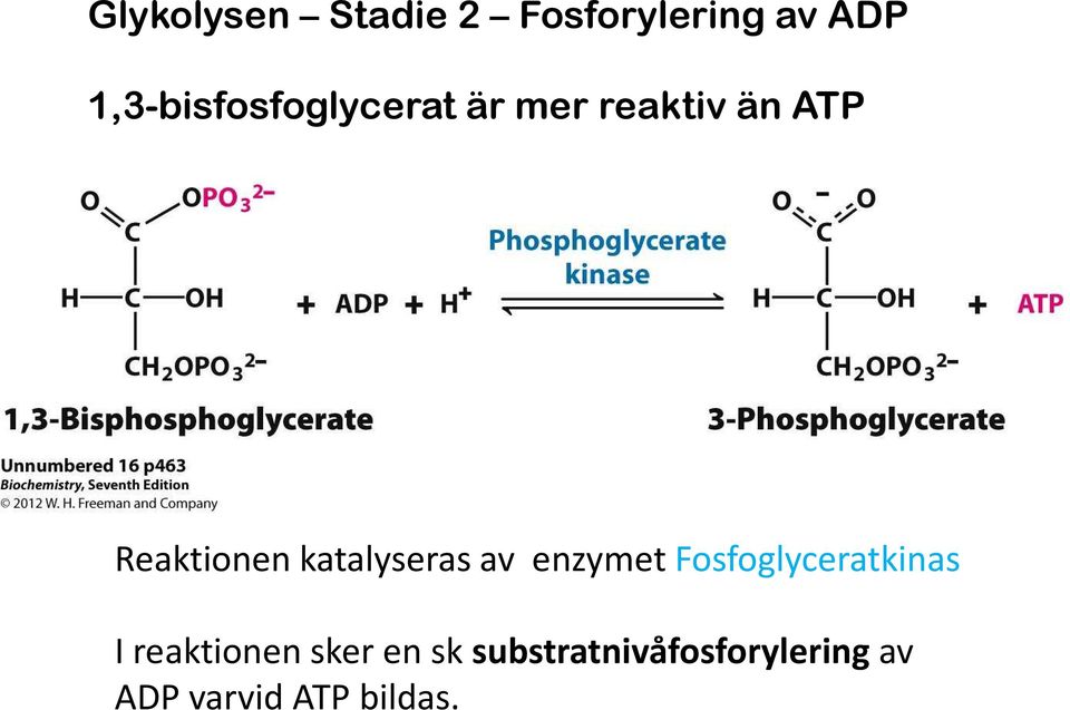 Reaktionen katalyseras av enzymet Fosfoglyceratkinas