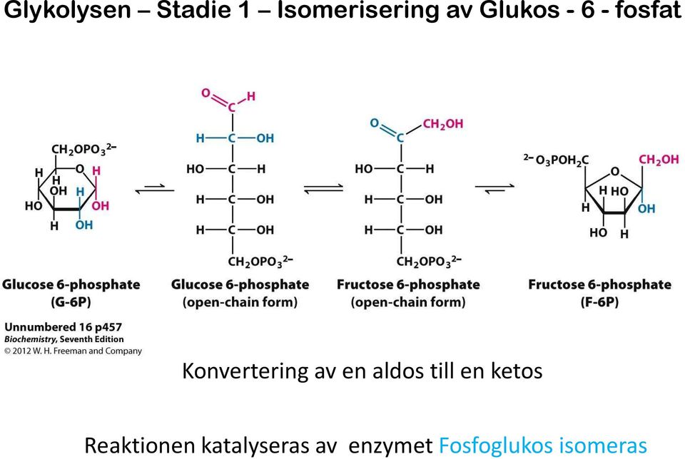 en aldos till en ketos Reaktionen