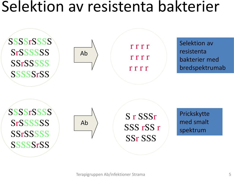 bredspektrumab SSSSrSSSS SrSSSSSS SSrSSSSS SSSSSrSS Ab S r SSSr SSS rss