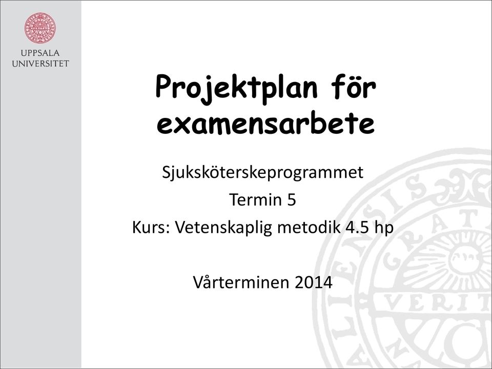 Sjuksköterskeprogrammet