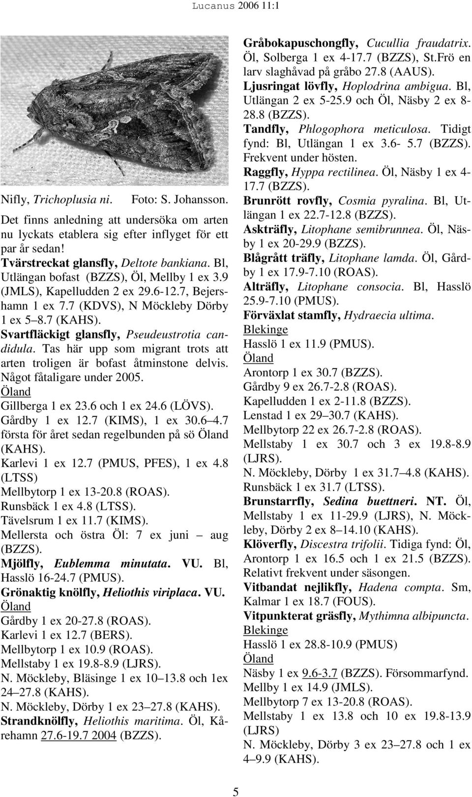 Tas här upp som migrant trots att arten troligen är bofast åtminstone delvis. Något fåtaligare under 2005. Gillberga 1 ex 23.6 och 1 ex 24.6 (LÖVS). Gårdby 1 ex 12.7 (KIMS), 1 ex 30.6 4.