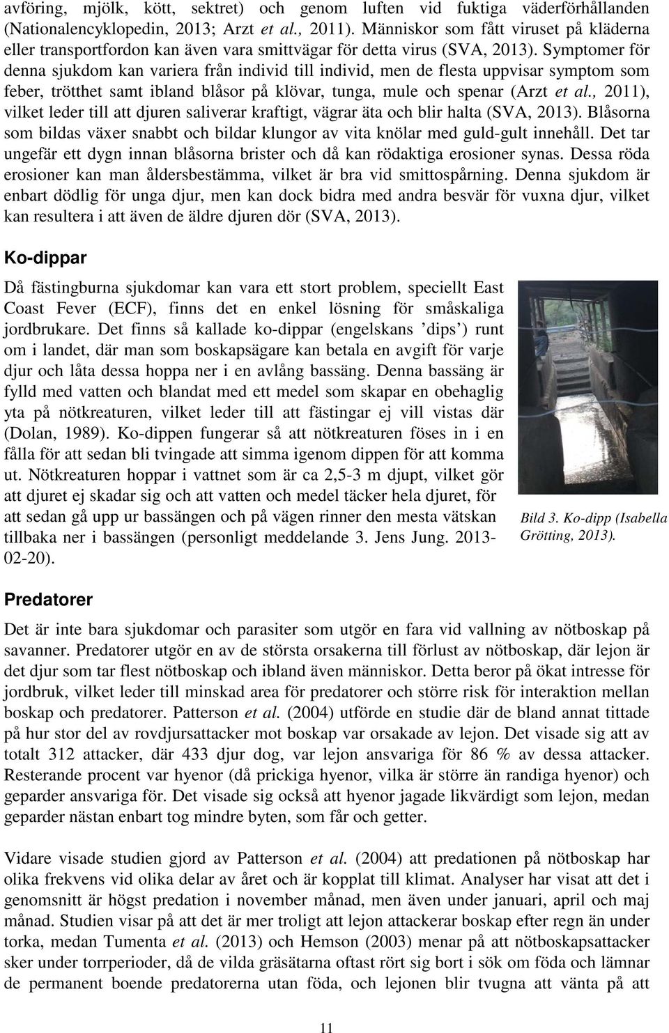 Symptomer för denna sjukdom kan variera från individ till individ, men de flesta uppvisar symptom som feber, trötthet samt ibland blåsor på klövar, tunga, mule och spenar (Arzt et al.