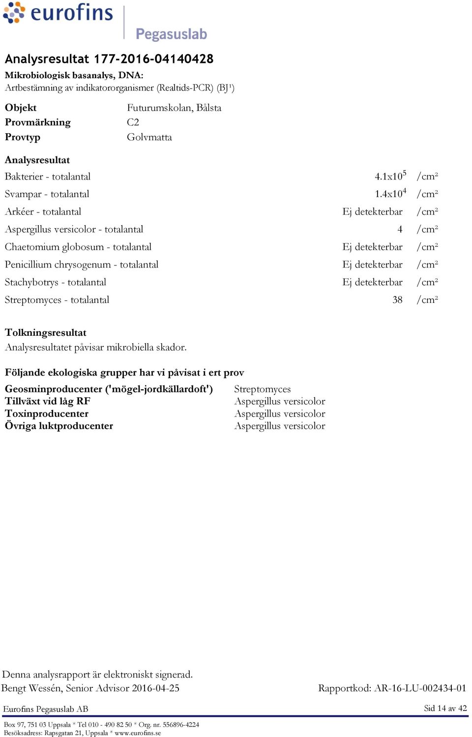 4x10 4 /cm² /cm² - totalantal