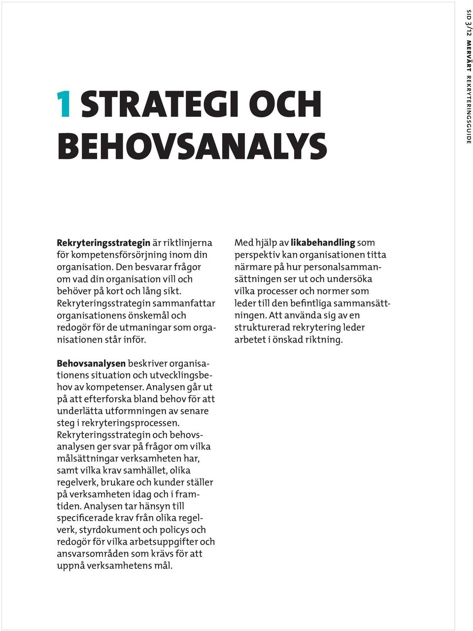 Rekryteringsstrategin sammanfattar organisationens önskemål och redogör för de utmaningar som organisationen står inför.