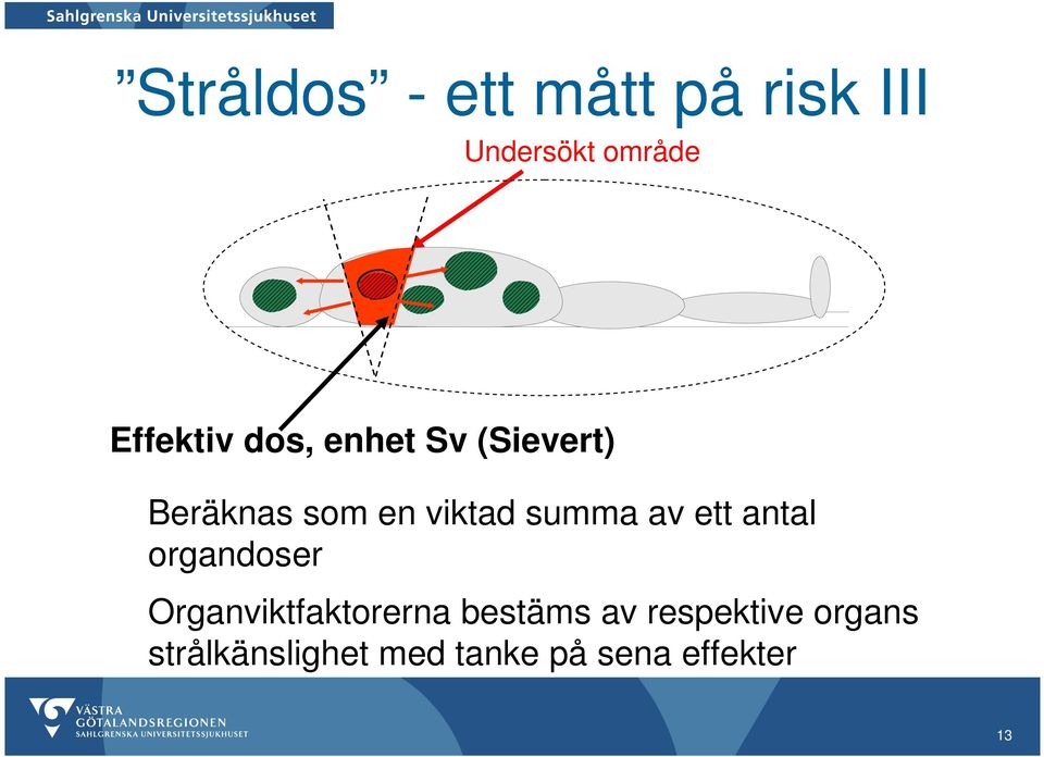 ett antal organdoser Organviktfaktorerna bestäms av