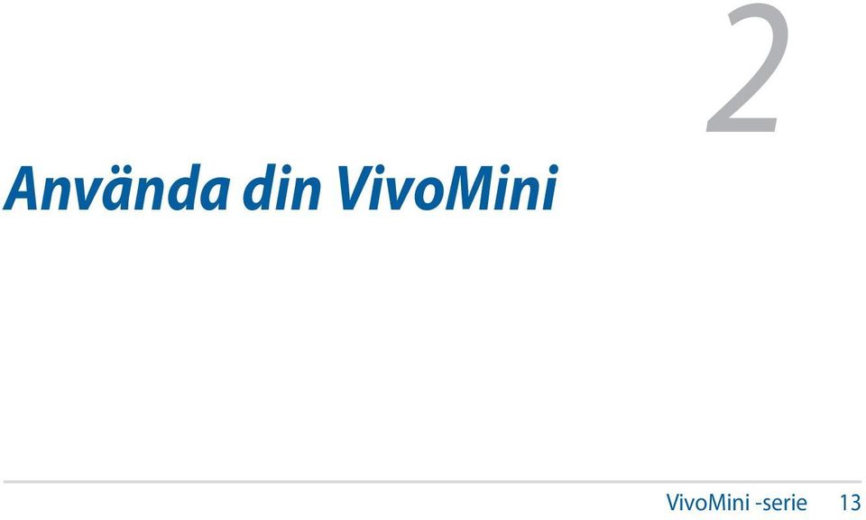 VivoMini 2