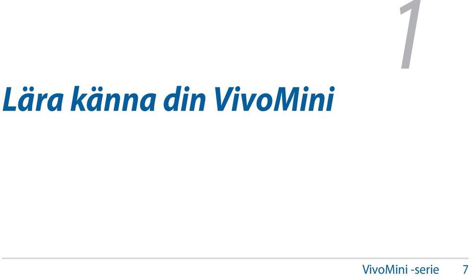 VivoMini 1