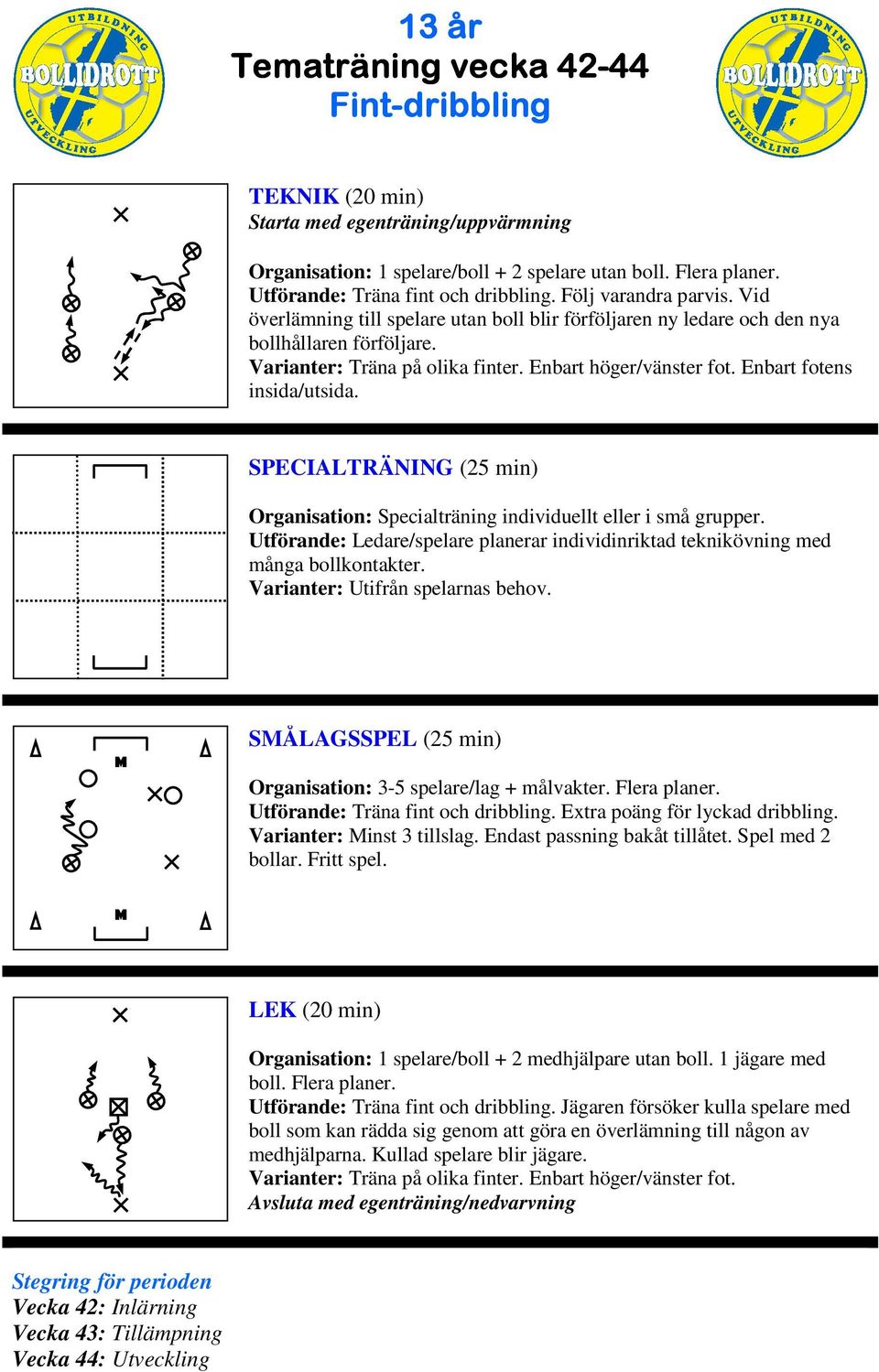 Utförande: Ledare/spelare planerar individinriktad teknikövning med många bollkontakter. SÅLAGSSPEL (25 min) Organisation: 3-5 spelare/lag + målvakter. Flera planer.