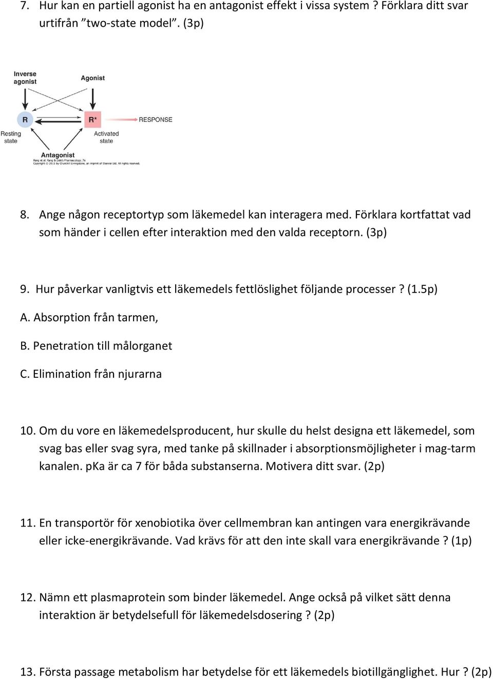 Absorption från tarmen, B. Penetration till målorganet C. Elimination från njurarna 10.