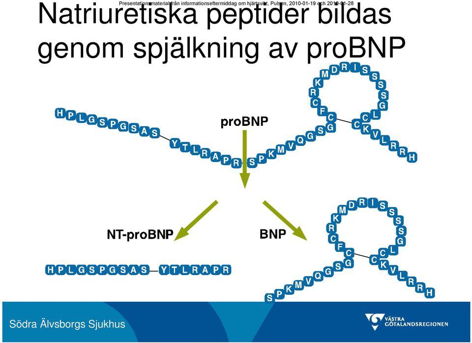 om hjärtsvikt, Pulsen, 2010-01-19 och