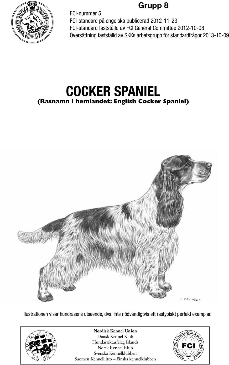 English Cocker Spaniel) Illustrationen visar hundrasens utseende, dvs. inte nödvändigtvis ett rastypiskt perfekt exemplar.