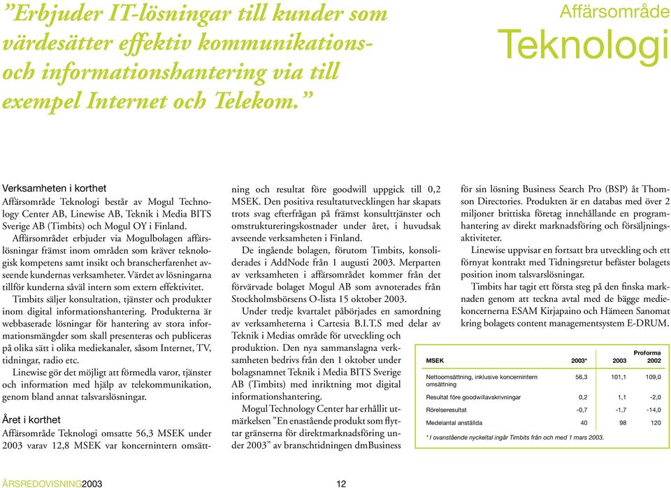 Affärsområdet erbjuder via Mogulbolagen affärslösningar främst inom områden som kräver teknologisk kompetens samt insikt och branscherfarenhet avseende kundernas verksamheter.