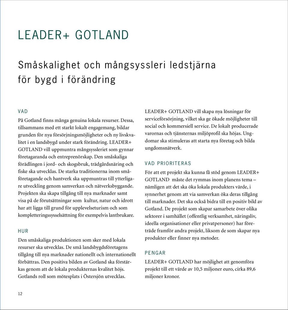 LEADER+ GOTLAND vill uppmuntra mångsyssleriet som gynnar företagaranda och entreprenörskap. Den småskaliga förädlingen i jord- och skogsbruk, trädgårdsnäring och fiske ska utvecklas.