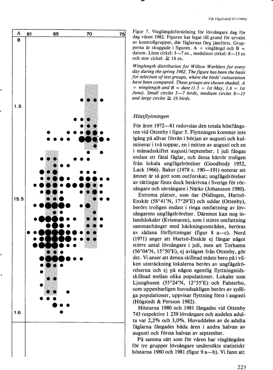 , medelstr cirkel: 8-15 ex ch str cirkel: 2 16 ex. Winglength distributin fr lvillw Wrblers fr every dy during the spring 1982.