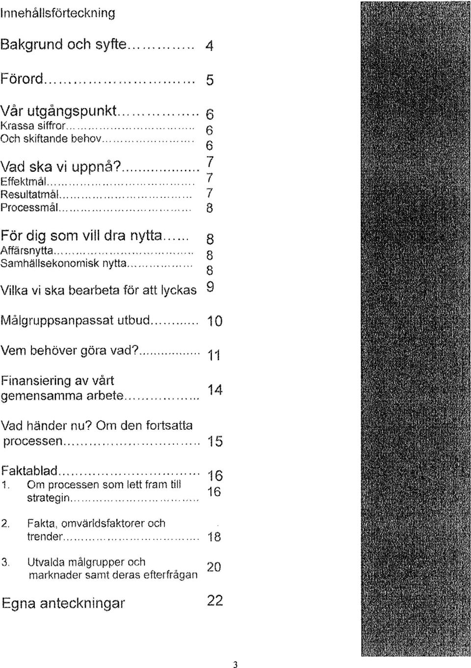 ..... 8 Vilka vi ska bearbeta för att Iyckas 9 Målgruppsanpassat utbud... 10 V em b e over h" gora " va d?.... 11 Finansieríng av vårt gemensamma arbete... 14 Vad hander nu?