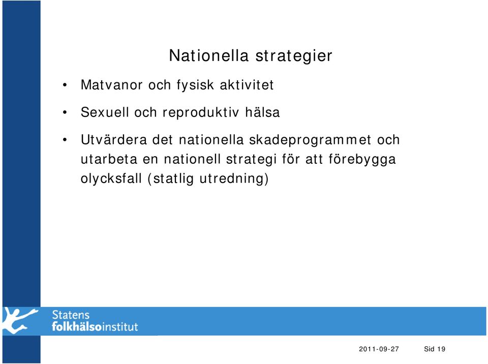 skadeprogrammet och utarbeta en nationell strategi för