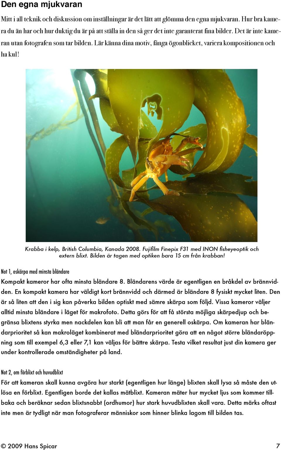 Lär känna dina motiv, fånga ögonblicket, variera kompositionen och ha kul! Krabba i kelp, British Columbia, Kanada 2008. Fujifilm Finepix F31 med INON fisheyeoptik och extern blixt.
