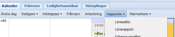 Lönerapport Du kan via Fliken Rapporter -