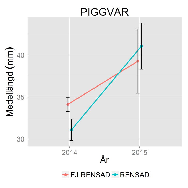 Vid analys av skillnader i längd hittades en interaktionseffekt för flundra mellan Rensning och År (ANOVA, df=3143,f=18.86, p<0,01).