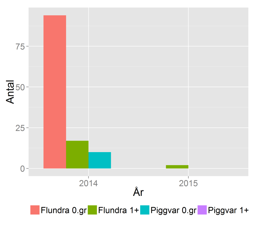 Del 2 - mikroskala (Lausviken) Fisk Totalt fångades 81 respektive 7 årsyngel av flundra och piggvar under provtagningarna 2014.