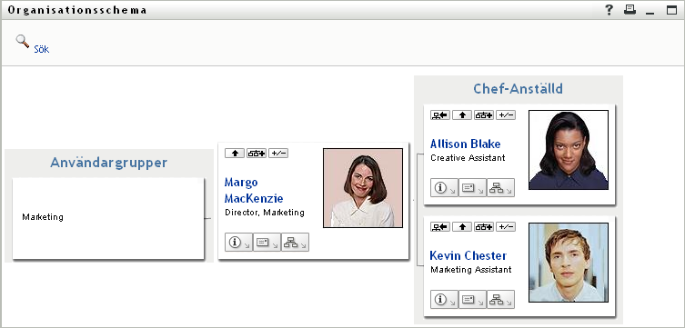 3.2.6 Söka efter en användare i ett organisationsschema Du kan söka efter en användare i ett organisationsschema.