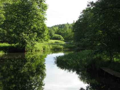 Station 1101 för vattenkemi och bottenfauna i Hovaån vid Nötebron (foto: