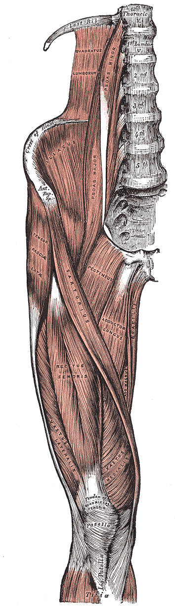 A. Appendix Figur A.