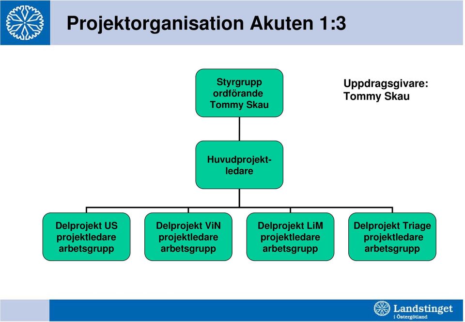 projektledare arbetsgrupp Delprojekt ViN projektledare arbetsgrupp