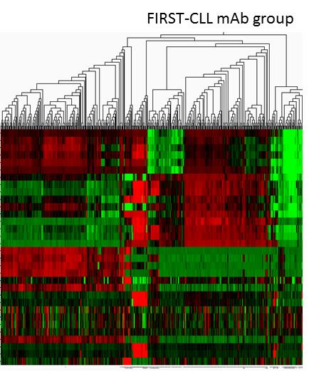 CLL cells F.I.R.S.T TM ANTI-CLL ANTIBODIES Patient materials Discovery of mab and targets with superior PCD and ADCC activity 1.