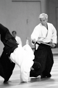 Svenska Budo & Kampsportsförbundet Styrelse och kommittéer Vid aikidosektionens årsmöte år 2005, som ägde rum lördagen den 12 mars på Sheraton Hotell i Stockholm, valdes följande styrelse: