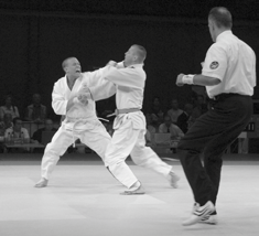 Svenska Budo & Kampsportsförbundet pens medlemmar har även deltagit på e flertal internationella tävlingar under året. De a har givit stor utdelning i form av medaljer av alla valörer.