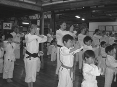 Svenska Budo & Kampsportsförbundet markommi éns sekreterare i både WKF och EKF.