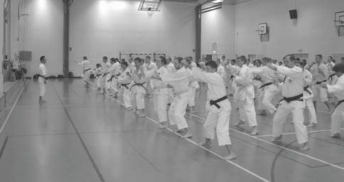 www.budokampsport.se Shorinjikempo i Karlstad för teknikers olika principer. Micke var en mycket duktig och omtyckt instruktör som alltid hade glimten i ögat.