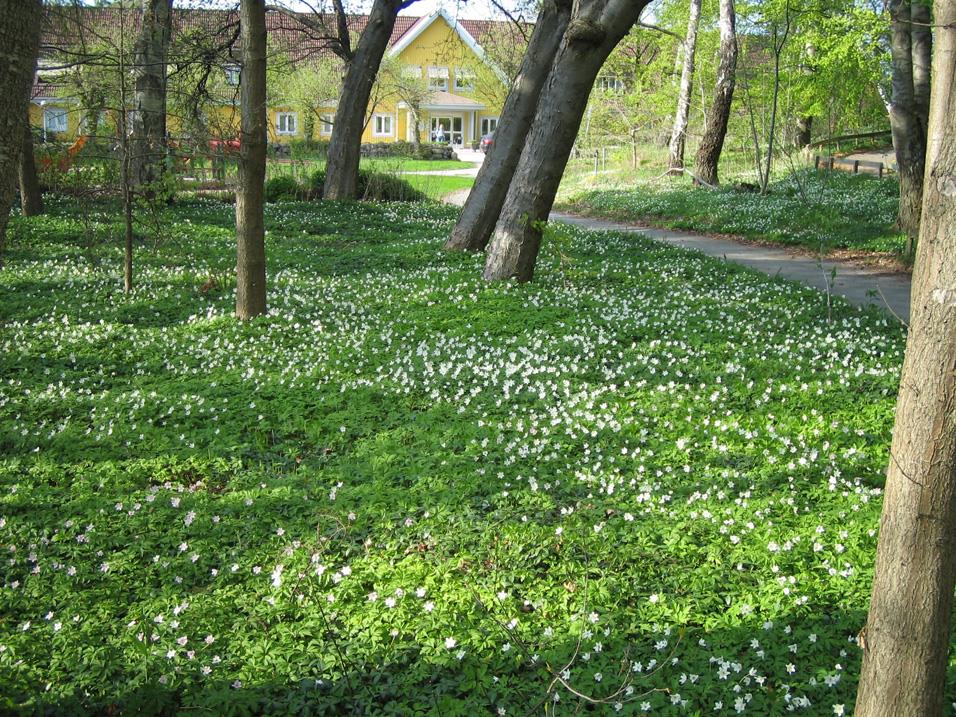 1 Nya sätt att beskriva och