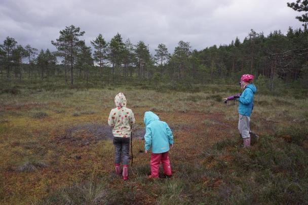 Kriterium 26 Barns och ungdomars kunskaper om skog och deras förhållande till naturen främjas Kriteriet gäller enbart regional gruppcertifiering (ary).