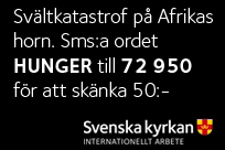 Personalnytt Vår diakon Annicka Frisell slutar sin tjänst 1 februari då hon går i pension. Annicka har tjänstgjort i vår församling sedan sommaren 2001.