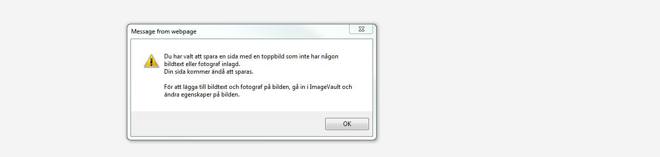 Om ingen bildtext är inlagd kommer en varningstext att synas när du ska publicera sidan där bilden är bifogad.