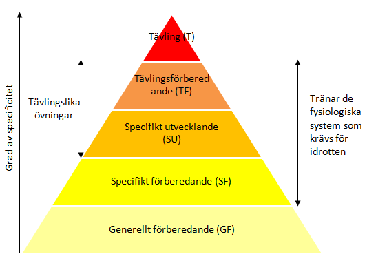 Fig. 1. Visar en schematisk bild av de olika perioderna samt grad av specificitet.