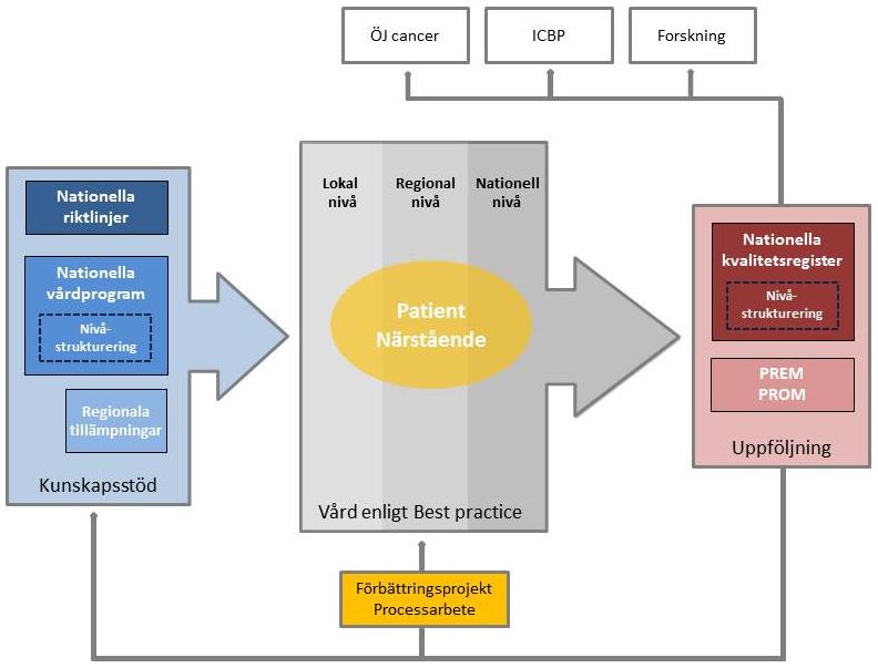 Patientrelaterade utfallsmått. Nationella vårdprogram finns sedan lång tid inom cancervården.
