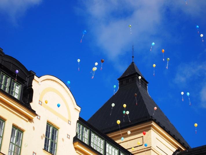 Utifrån kommunfullmäktiges och utbildningsnämndens mål, beskriver vi skolans egna åtaganden och arbetssätt och hur vi använder våra tilldelade resurser.