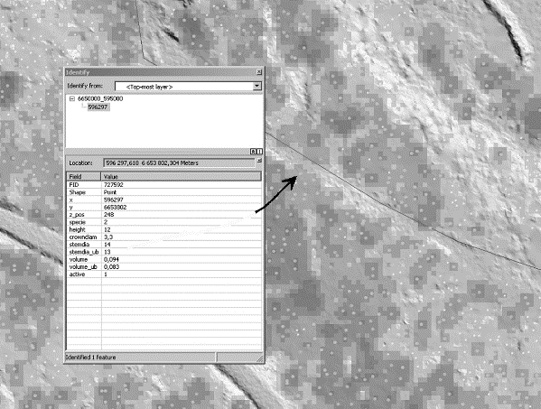 computer-generated 3D-maps of the ground and both the height and crown form of each large tree.