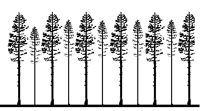 Figur 8.09. Meteorologer har sökt en förklaring till varför stormskadorna är färre i skiktad skog (Gardiner 1995).