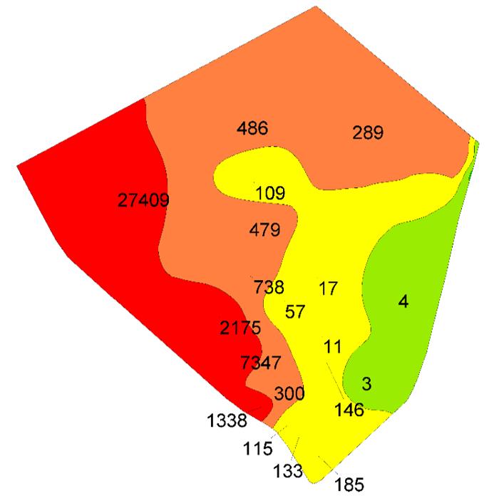 7a P. brassicae DNA 17a