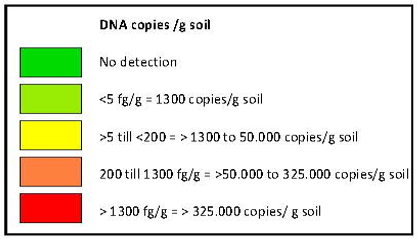 57 fg (10-15 ) plasmid DNA