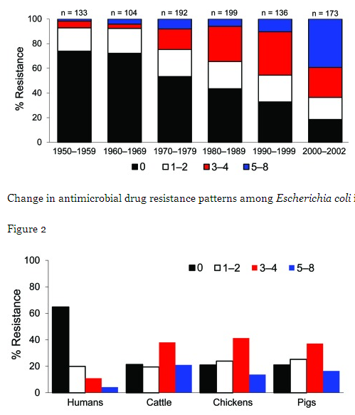 Tilltagande multiresistens hos E.