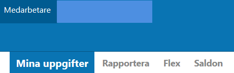 Visma Window - Medarbetare Så här ser det ut när ni kommer in i Visma Window Medarbetare Detta är startsidan där du som medarbetare kan se viktig information samt