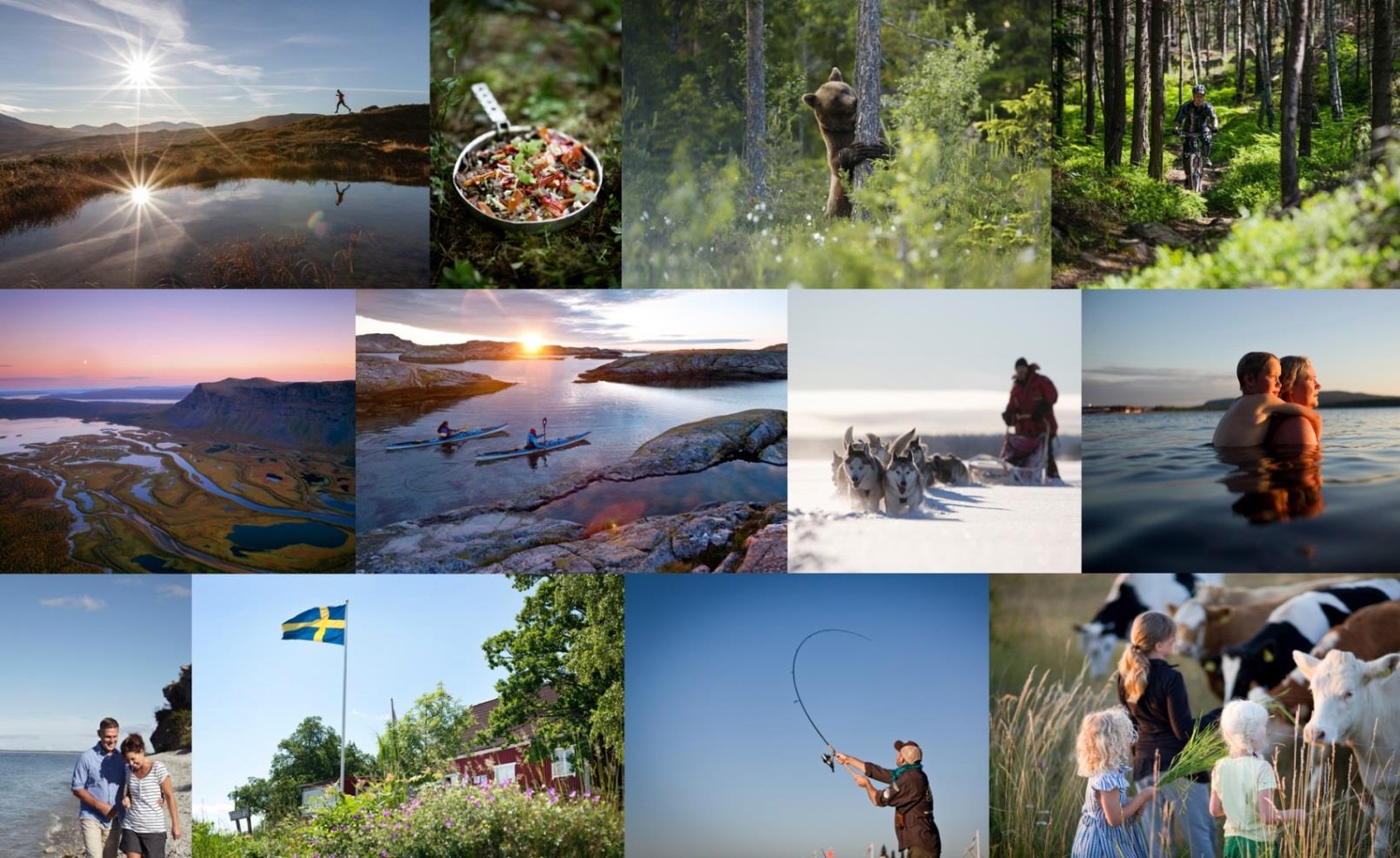 Naturturismprogrammet 2016 Foto: imagebank.sweden.