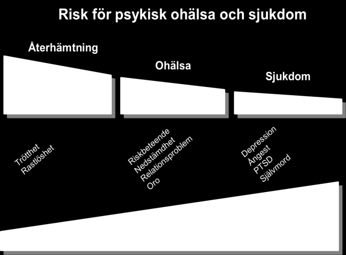 Vägval och acceptans Högkvarteret har tittat på hur andra länder arbetar med veteranstödet och har dragit nytta och lärdom av detta. Men det går inte att kopiera andra länders koncept rakt av.