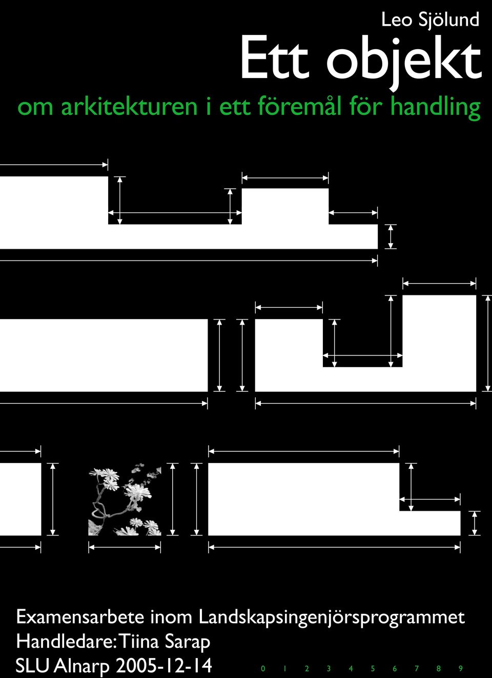 Landskapsingenjörsprogrammet Handledare: